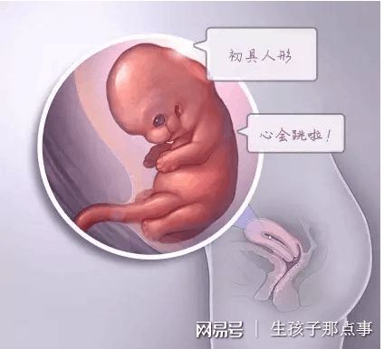 周立行